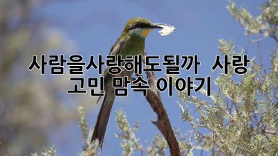 사람을사랑해도될까? 🤔 사랑 고민, 맘속 이야기🗣️